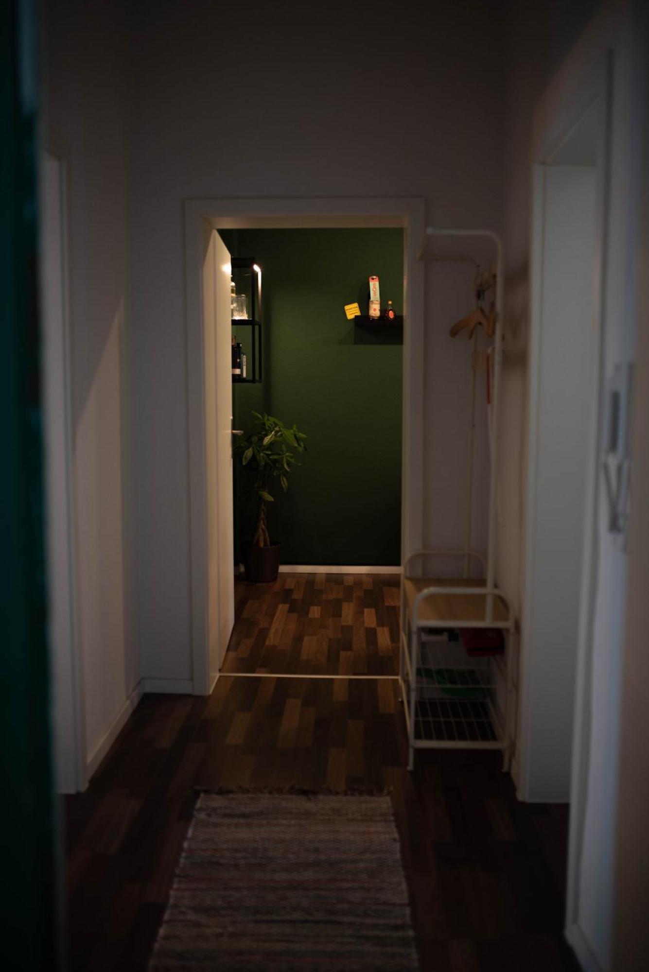Zentral Smart Apartment ツウィッカウ エクステリア 写真